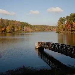 William B. Umstead State Park - Zebulon