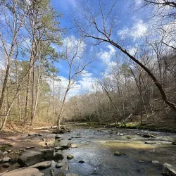 William B. Umstead State Park - Zebulon