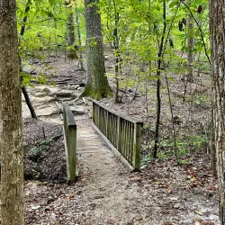 William B. Umstead State Park - Zebulon