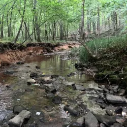 William B. Umstead State Park - Zebulon