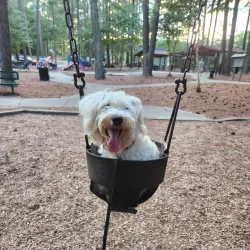 Zebulon Community Park - Zebulon