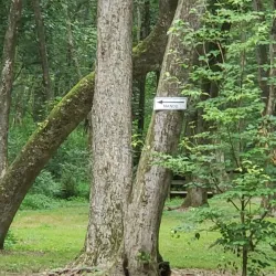 Zebulon Community Park - Zebulon