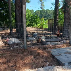 Zebulon Farmers Market - Zebulon