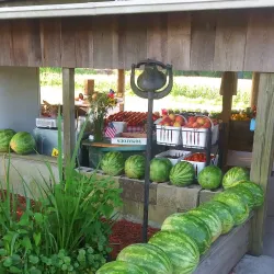 Zebulon Farmers Market - Zebulon