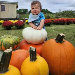 Zebulon Farmers Market - Zebulon