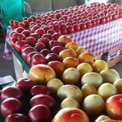 Zebulon Farmers Market - Zebulon