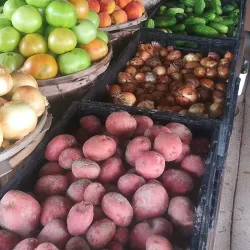 Zebulon Farmers Market - Zebulon