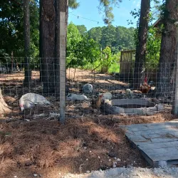 Zebulon Farmers Market - Zebulon