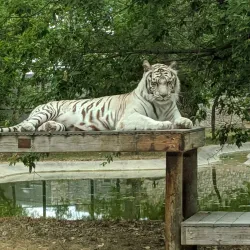 Dakota Zoo - Bismarck