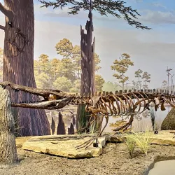 North Dakota Heritage Center & State Museum - Bismarck