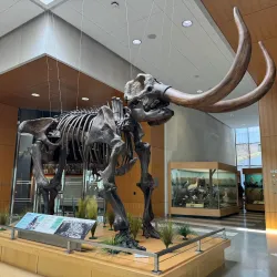 North Dakota Heritage Center & State Museum - Bismarck