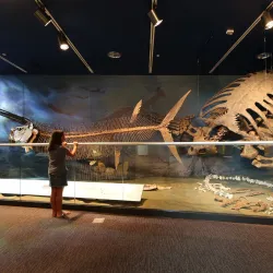 North Dakota Heritage Center & State Museum - Bismarck