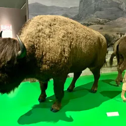 North Dakota Heritage Center & State Museum - Bismarck