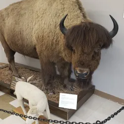 Bonanzaville, USA - Fargo