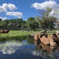 Red River Zoo - Fargo