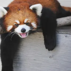 Red River Zoo - Fargo