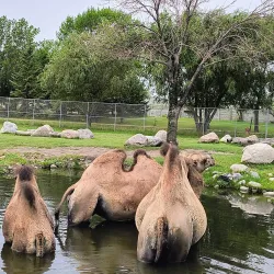 Red River Zoo - Fargo