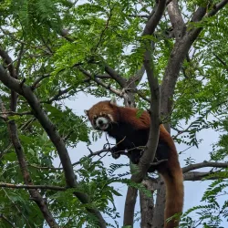 Red River Zoo - Fargo