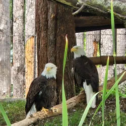 Red River Zoo - Fargo