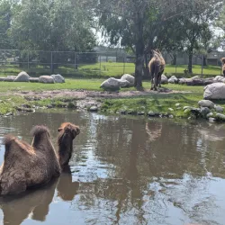 Red River Zoo - Fargo