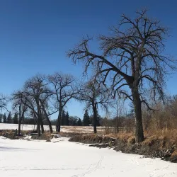 Lincoln Drive Park - Grand Forks