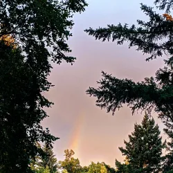 Lincoln Drive Park - Grand Forks