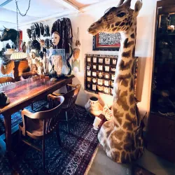 North Dakota Museum of Art - Grand Forks