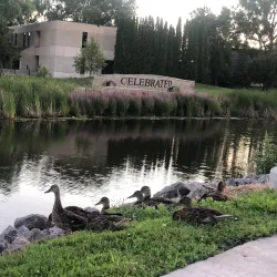 University of North Dakota - Grand Forks