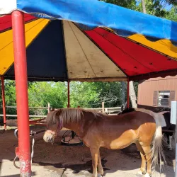 Frontier Village - Jamestown