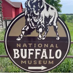 National Buffalo Museum - Jamestown