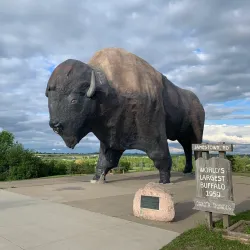 National Buffalo Museum - Jamestown