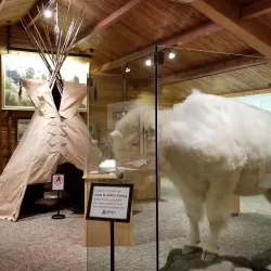 National Buffalo Museum - Jamestown