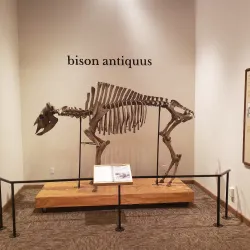 National Buffalo Museum - Jamestown
