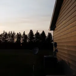 Minot Air Force Base - Minot