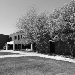 Minot State University - Minot