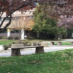 Minot State University - Minot