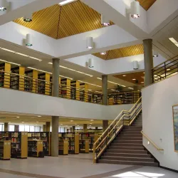 Minot State University - Minot