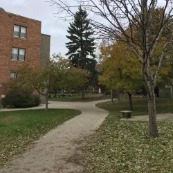 Minot State University - Minot