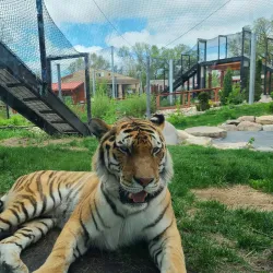 Roosevelt Park Zoo - Minot
