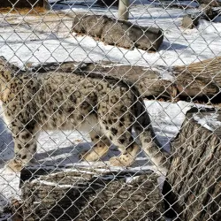Roosevelt Park Zoo - Minot