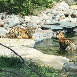 Roosevelt Park Zoo - Minot