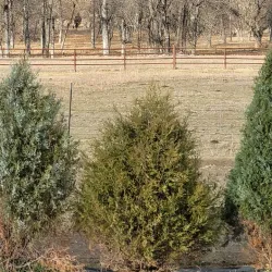 Little Missouri River - Watford City
