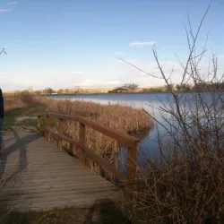 Lake Sakakawea - Williston