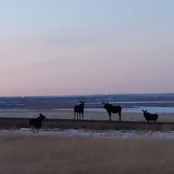 Lake Sakakawea - Williston