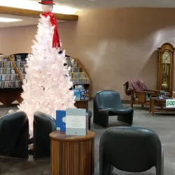 Williston Community Library - Williston