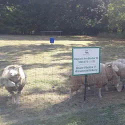 Perkins Stone Mansion - Akron