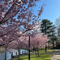 Towpath Trail - Akron