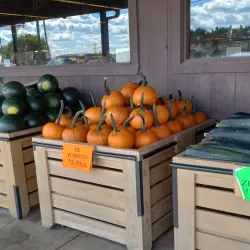 Alliance Farmers Market - Alliance