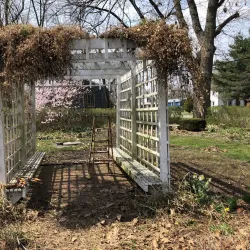 Alliance Historical District - Alliance