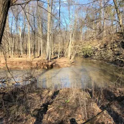 Beaver Creek Reservation - Alliance